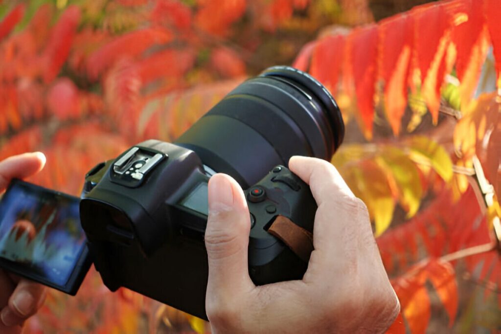 journeyman camera